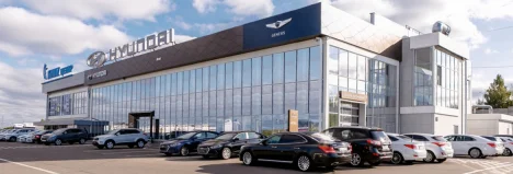 Изображение Hyundai АГАТ на Ларина